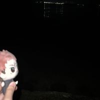 せりな