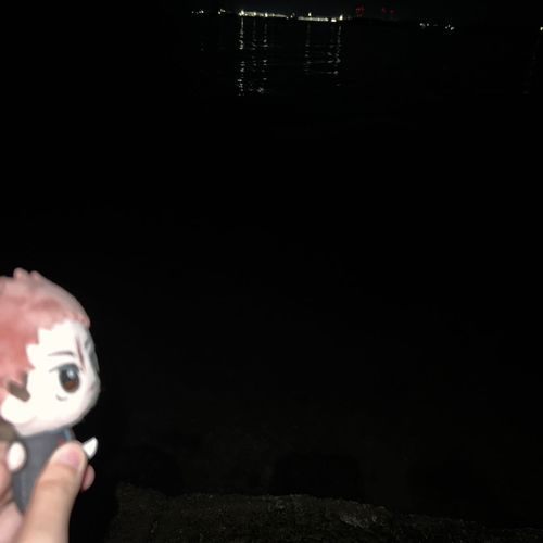 DD🌟