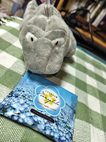 お土産貰ったよ。
ネモフィラ……本物見てみたいね。