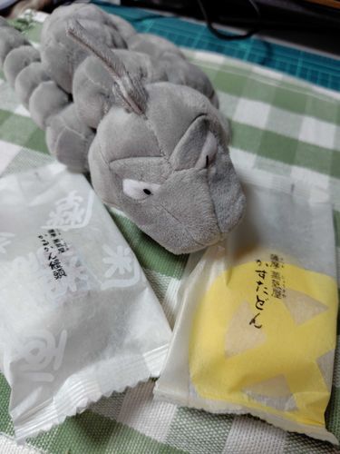 かすたどんってポケモンにいそうな名前のお菓子だね。
