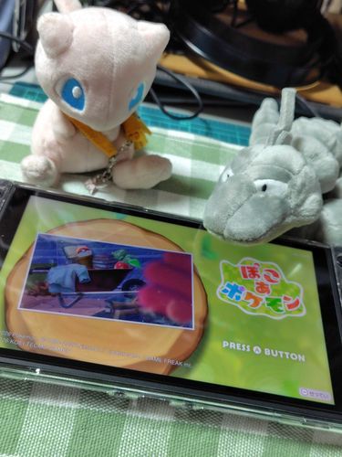 ご主人！ついにぽこあ買ったんだね！
