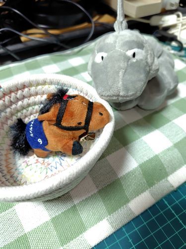 捨てられそうになってたのを引き取ってきたんだって。
リバティちゃんていうんだ、よろしくね。