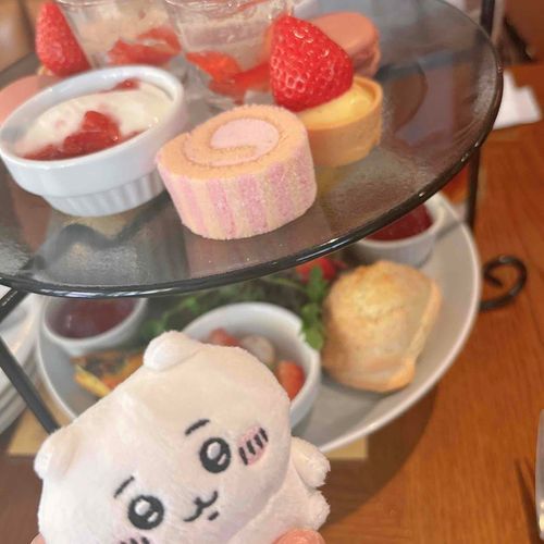 お茶　した🎵