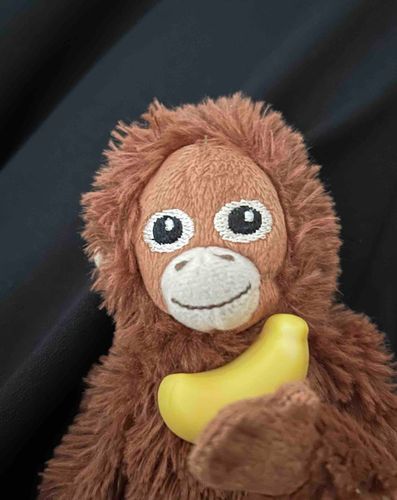 ついにバナナを手に入れた…！！！
と思ったら、グミでした🍌
サブロー、ちょっとがっくし😶
