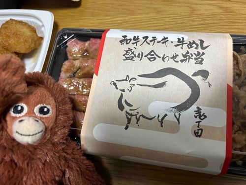 とっても美味しいステーキ弁当をたべたよー！！🍱
おいしかったねー☺︎