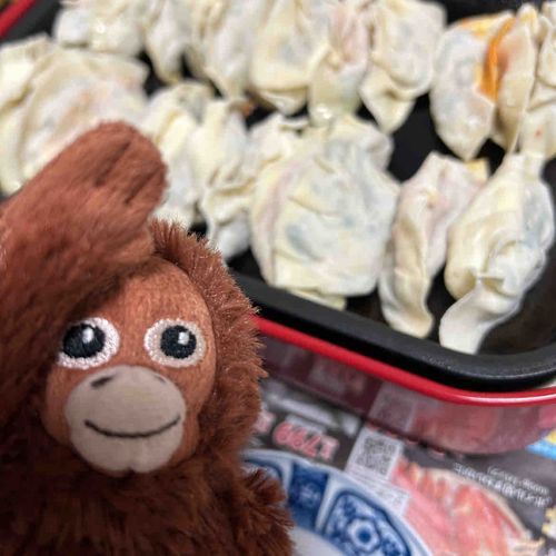 お家で、餃子パーティーをしたよ！🥟
次は、餃子の中にバナナ入れてほしいなぁ🐵