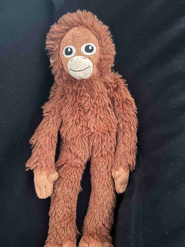 ヨギボーでくつろいでるよ〜！
サブローは軽すぎてしずまないね