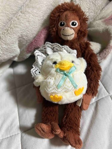 アヒルの赤ちゃんをお迎えしたよー！サブローも嬉しいねー🐣