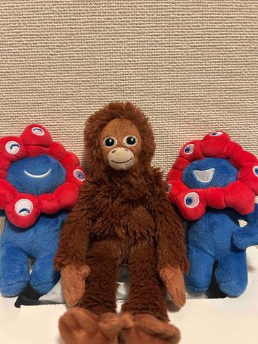 サブローは行けなかったけど、主に万博のお土産もらったよー！！
たくさんいてちょっとｷﾝﾁｮだけど、カラフルでかわいいね