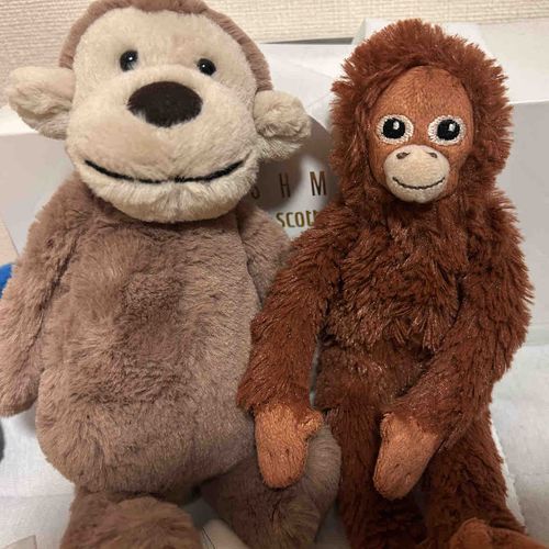 おさるなかまができたよー！
なまえは、さとうさん！
うれしいねー☺️
サブローも、ドヤ顔でおうちを案内しています
