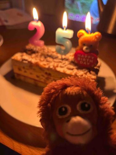 主が誕生日だったからお祝いしたよー！！🍰
初めてのろうそくきらきらできれいだったー！！