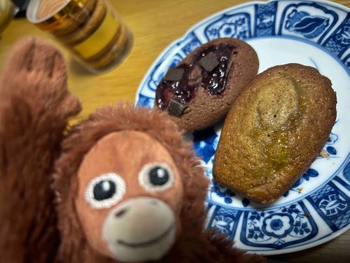 美味しいフィナンシェを食べたよー！ティータイム楽しいね🫖