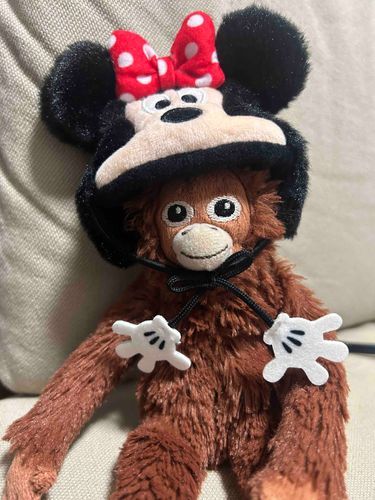 主がディズニーランドのお土産を買ってきてくれたよー！🐭
なんと主とお揃い！
頭は重いけどかわいいね〜