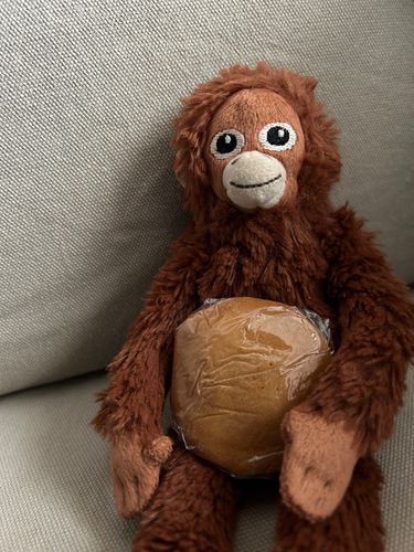 どら焼きもらったよー！あんこが大量に入ってて重かったよー🐵