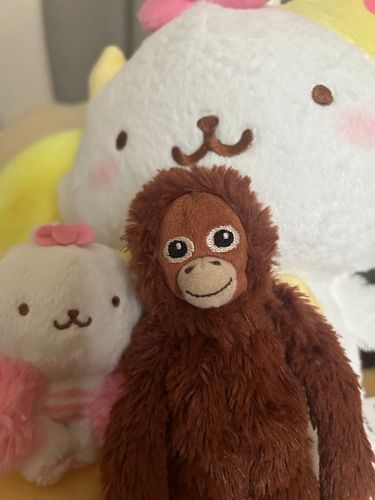 かわいいがおぱわるぅがお家に来たよー！！
嬉しいねぇ☺️