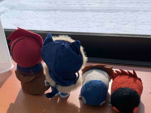 出かけたくなるくらい明るい…でもあっという間に曇っちゃう、それがこの季節なんだ…❄️