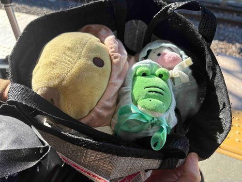 ゆきぐにへGO〜🐽🍦🐊