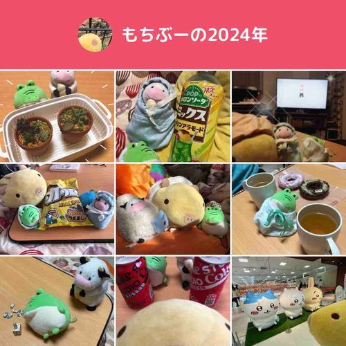 この夏から　ふわもこはじめたよ。
来年も　すてきな年になりますように〜🐽🍦🐊