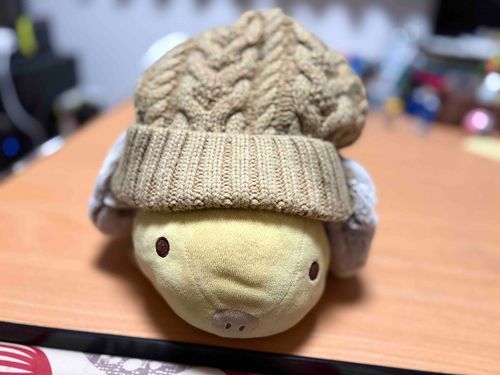 もこもこお耳ぼうし　ゲット✨