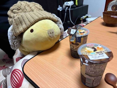 ☕️のプリン　ゲット！