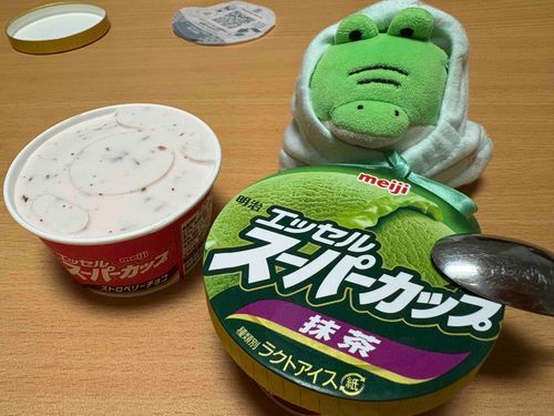 うまうまアイス　ゲット🐊