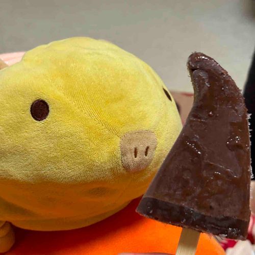 スイカバーチョコ味　ゲット🤭