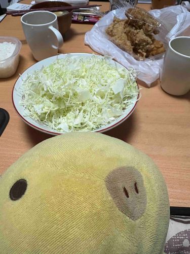 でかでか唐揚げ　ゲット…！
