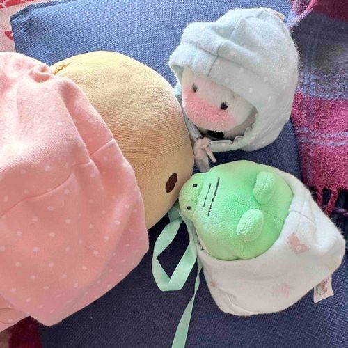 いままでなかよくしてくれたおともだちにありがとうしたくて　ひさしぶりにきたよ🐽

実はねかぞくにとてもかなしいことが続いて　もちぶーたちもお休みしてたんだ。かぞくはちょっと元気になったけど…もう少しじかんがひつようみたい。
これからも　かぞくみんなでちからをあわせて　がんばるよ！

ふわもこのみなさん　いつもステキなお写真ありがとう。みんながこれからもずっと幸せだとうれしいな✨