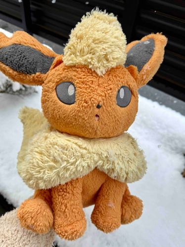 雪見てキョトンとしているわたあめ(本体)たいへんかわいい❄️