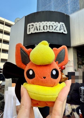 このまえの。わたあめももはや常連のPALOOZAなので慣れたお顔でしたね