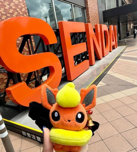仙台が晴れていて安心わたあめ。ほのおタイプだから雨だったらしおしおになっちゃうとこでしたね
