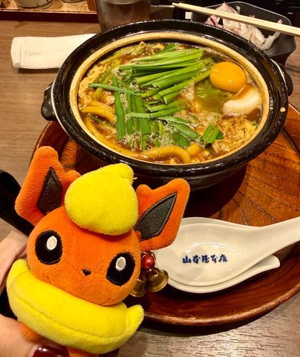 わたあめがアチアチにしましたよのおかお。ありがとねぇ。ニンゲンは味噌煮込みうどんが大好きです