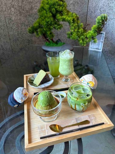 抹茶を大量摂取🍵

抹茶系のスイーツばっか食べてるからそろそろ大般若さんとまんばちゃんに呆れられてそう😗