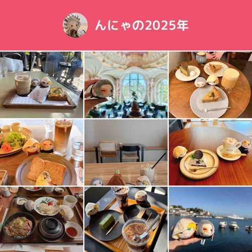 あけましておめでとうございます🌅🎍
2025年もたくさんお出かけしたのですが、投稿をだいぶサボってしまいました🥲
気が向いたらぼちぼちあげていきます。
2026年も気の向くまま、たくさんお出かけするぞ〜！