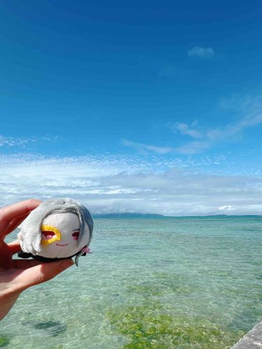 あまりに寒すぎたので南の島へ🏝️