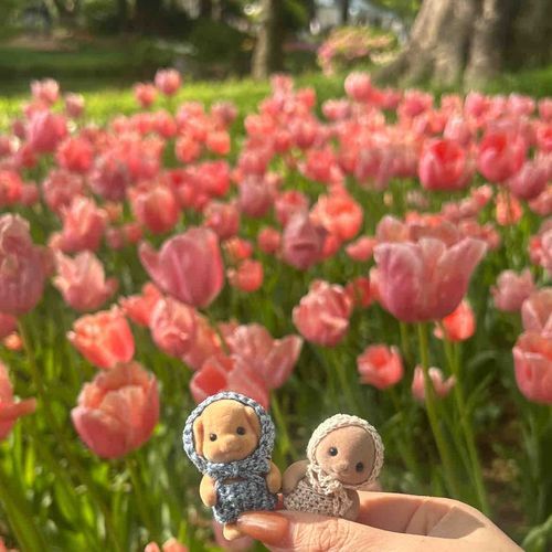 きれいなおはな、みにいったよ！✨
おてんきがよくて、きもちよかった〜