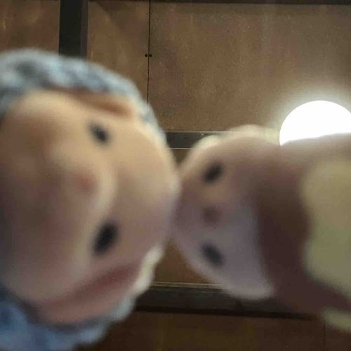 ん........このとりかた、はやってるの？
おうちのひと、かわいいかわいいって、
うれしそだったけど、
ぼくはしたからははずかしいな....