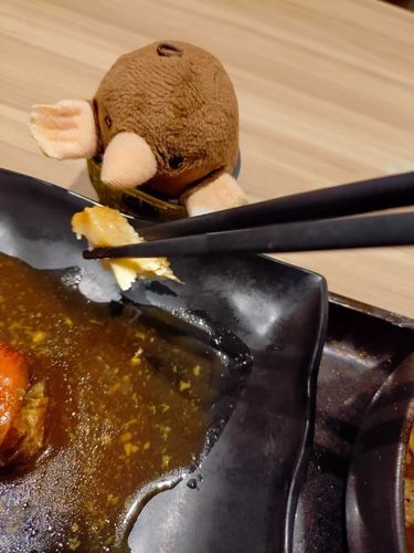 赤魚を食べるモグミ