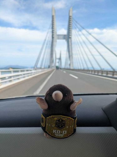 モグミと瀬戸大橋
