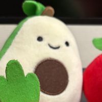 なし(アボカド)