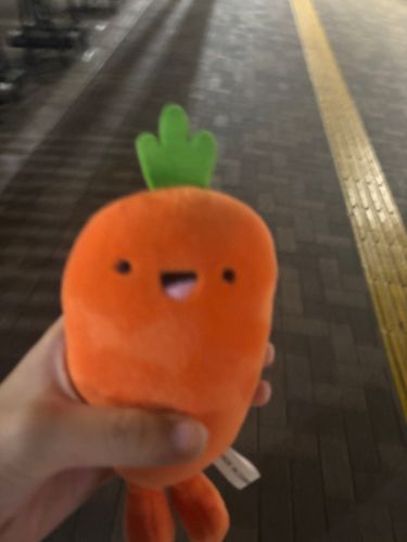 帰るよ