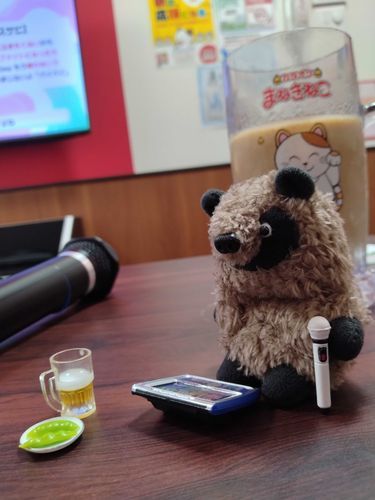 これはカラオケにいったときのだね。おらはよくわかんねから、あんべあましたなー。