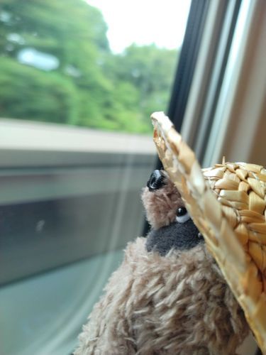 空はまっつぁお、夏のいろだったんだぁ。