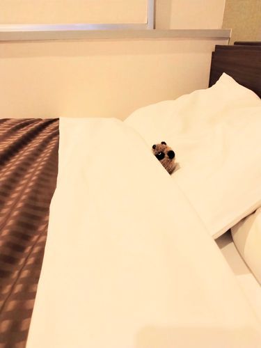 枕が変わっち、眠らんに。