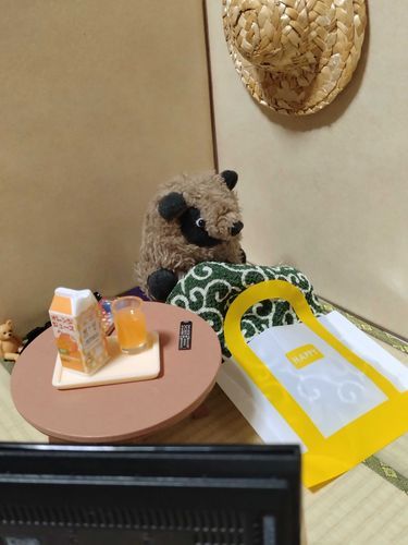 よーやく けぇたぁ。この柄 この柄。やっぱしコレが落ち着くンだぁ。
