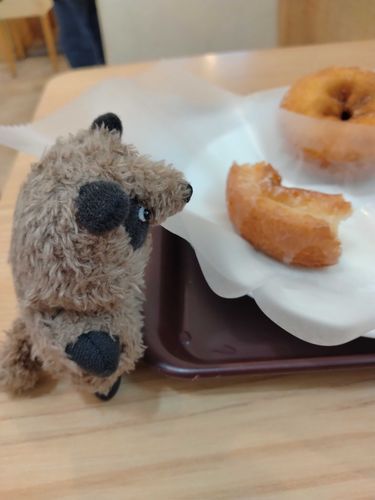 撮るなら先に言ってくんにェと…おらが食っちまって、これしか残ってねェよ？
