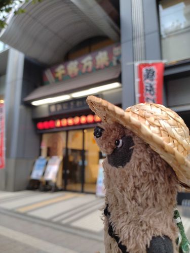 落語のめんこい担当は、おらたち狸だと思ってンだ。おらはね。