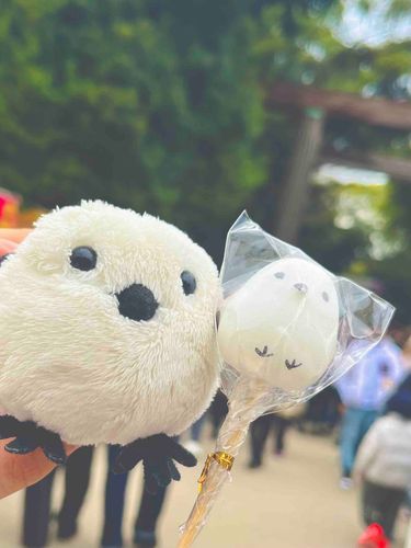 明けましておめでとう🙌
江長くんと、飴のシマエナガだよ
今年もいい年になるといいね。