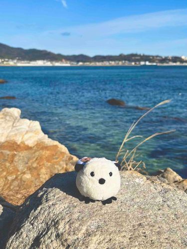 海に背中で語ったね🌊