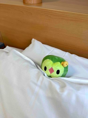ユニ助はお布団ふかふか確認係なんだよね〜☺️